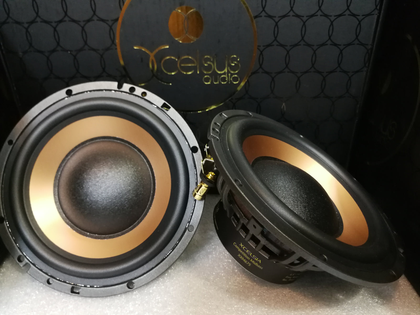 תמונה 2 מתוך 2 של Xcelsus xxm675