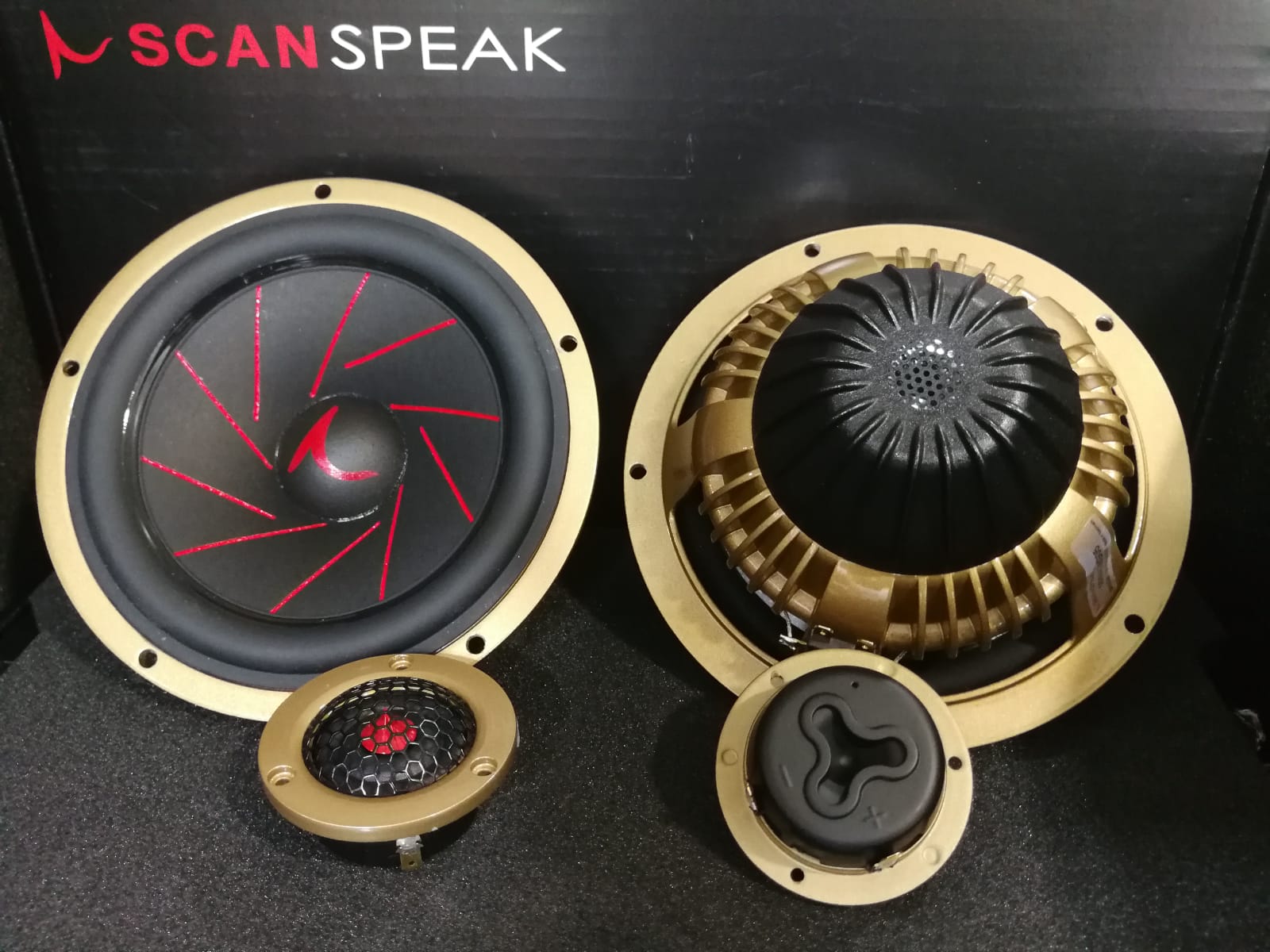 תמונה 2 מתוך 2 של Scanspeak r3004/602005+16w4538g05